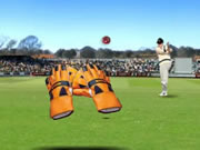 test-catch-cricket.jpg