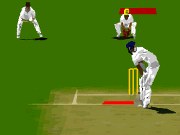 Virtual Cricket