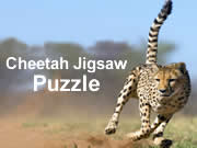 Cheetah Jigsaw Puzzle