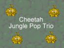 Cheetah Jungle Pop Trio