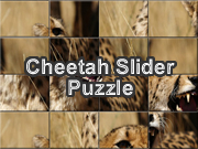 Cheetah Slider Puzzle