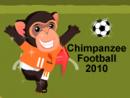 Chimpanzee Football 2010