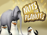 Elephant Nuts For Peanuts