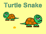Turtle Snake