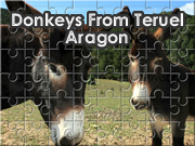 Donkeys From Teruel Aragon
