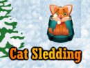 Cat Sledding