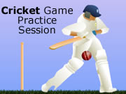 Cricket Game Practice Session