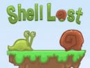 Shell lost
