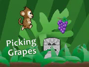 Monkey In The Jungle Picking Grapes