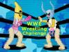 WWE Wrestling Challenge