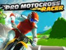 Pro Motocross Racer