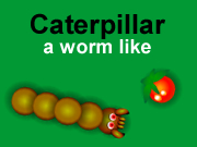 Caterpillar, a worm like