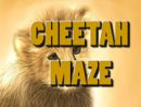 Cheetah Maze