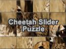 Cheetah Slider Puzzle