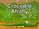 Crocodile Afrafly