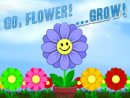 Go Flower Grow