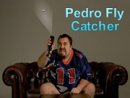 Pedro Fly Catcher