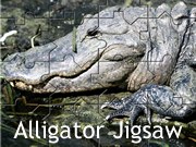 Alligator Jigsaw