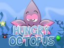 Hungry Octopus