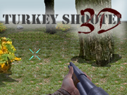 Turkey Shootout 3D