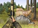 Bow Hunter - Target Challenge