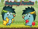 Hedgehogs Paradise
