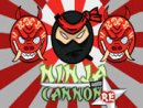 Ninja Cannon Retaliation