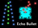 Echo Bullet