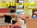 Office Room Cleaning