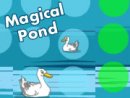 Magical Pond