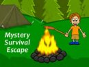 Mystery Survival Escape