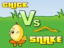 Chick Vs Snake